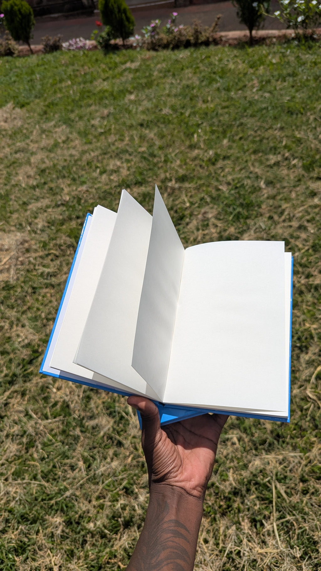 Buzzy Sketch Book